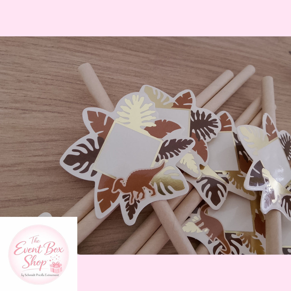 Lot de 12 pailles dinosaure